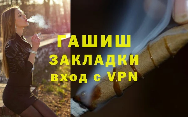 гидра Богородск