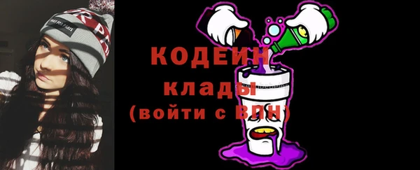 гидра Богородск
