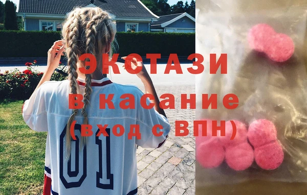 гидра Богородск